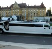 Antropoti-Hummer-H2-lux-limousine4